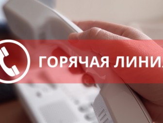 «Горячая линия» по вопросам наведения порядка