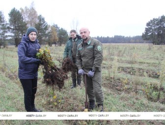 Партийный «десант» в Липичанской пуще