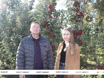 Кто на Мостовщине выращивает наливные яблочки