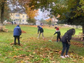 В агрогородке Дубно на субботник вышли представители всех трудовых коллективов учреждений и организаций
