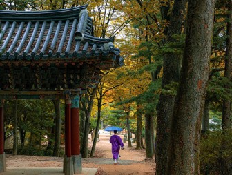 Беларусь и Республика Корея планируют расширить сотрудничество в туризме