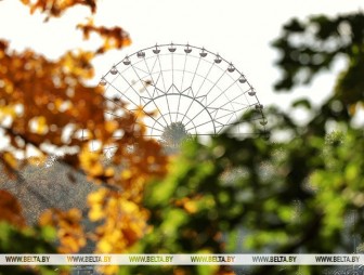 Какой будет погода в Беларуси в первые выходные ноября, рассказали синоптики