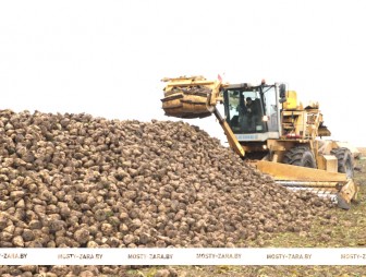 Мостовские аграрии стремятся завершить полевые работы