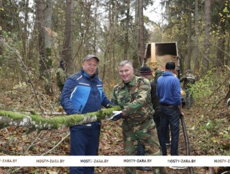 Кто прикладывает усилия, чтобы город Мосты стал краше?