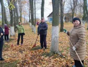 Благоустройство нон-стоп: как в Гудевичском сельсовете наводят порядок и после республиканского субботника