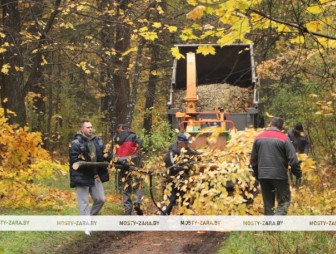 Сделать работу толокой