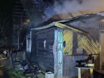 Пожар в деревне Стукалы