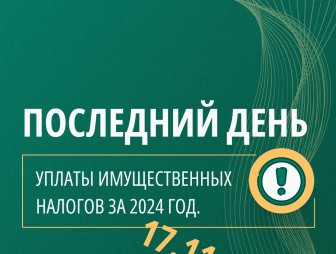Налоги в 2025 году нужно уплатить не позднее 17 ноября