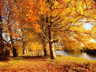 Фотомарафон “Осень тоже может быть приятной”