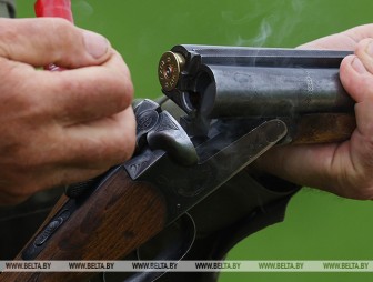 Останки животных, следы крови. В Витебской и Гродненской областях пресечена незаконная охота