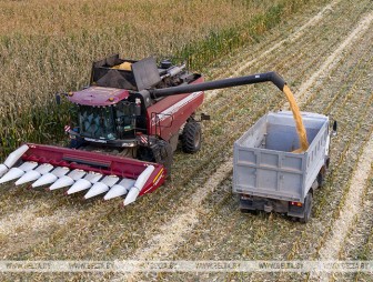 В Беларуси намолотили 10,8 млн тонн зерна с учетом рапса и кукурузы