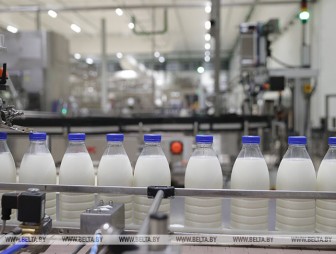 Сколько зерна, молока, мяса и овощей производят в Беларуси на душу населения, рассказали в Белстате