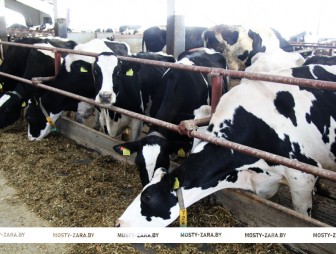 Порядок на фермах