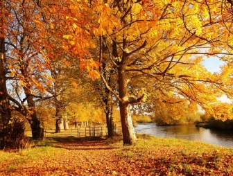 Фотомарафон “Осень тоже может быть приятной”!