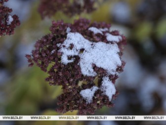 Кратковременные дожди и мокрый снег ожидаются сегодня в Беларуси