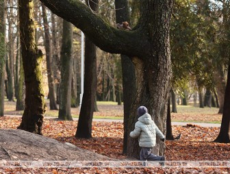 Облачно, небольшие осадки. Какой будет погода в Беларуси 20 ноября
