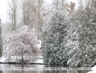 Во многих районах осадки. Какой будет погода в Беларуси 25 ноября