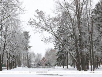 Оранжевый уровень опасности из-за сильных осадков и тумана объявлен в Беларуси 26 ноября