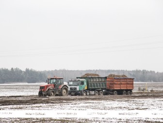 Важно не только собрать урожай