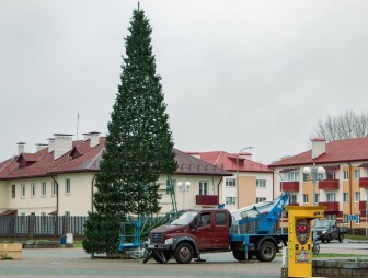 ФОТОФАКТ. В Мостах начали устанавливать новогоднюю ёлку