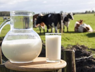 Мостовский район входит в ТОП-30 республики по производству молока