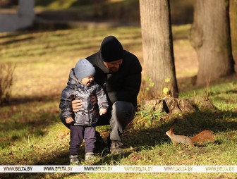 До +7°С ожидается в Беларуси 6 декабря