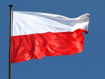 В Польше раскрыли преступную группу, занимавшуюся незаконной легализацией иностранцев