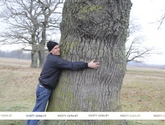 В стукаловскую дубраву в Липичанской пуще ездят туристы. Теперь приедут и учёные