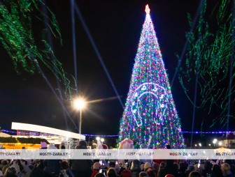 Галопом в Новый год: в Мостах торжественно зажгли огни на новогодней ёлке
