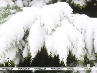 Мокрый снег и до -7°С ночью. Синоптики о погоде в Беларуси на 15 декабря