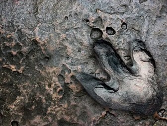 В итальянских Альпах нашли следы динозавров, которым более 200 млн лет