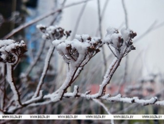 Оранжевый уровень опасности из-за тумана объявлен в Беларуси 20 декабря