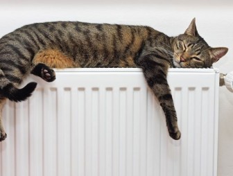 Об установлении нормативов фактического потребления тепловой энергии