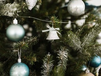 Как продлить жизнь новогодней елки?