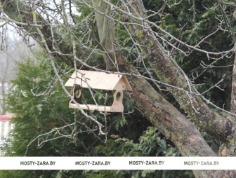 Ученики Куриловичской школы обустроили кормушки для птиц