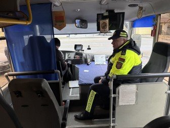 Происшествие в д. Стукалы: пострадал ребенок