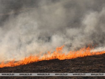В Польше ужесточают наказание за сжигание травы и разведение костров, штрафы вырастут в 6 раз