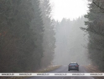 Переменная облачность, на отдельных участках дорог - гололедица. Какой будет погода в Беларуси 24 декабря