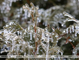 О факторах опасности при гололедице напомнили в МЧС