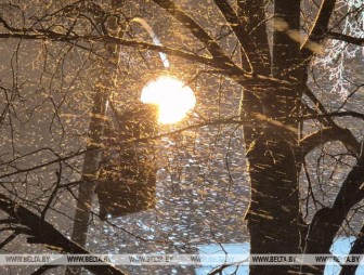 Оранжевый уровень опасности из-за усиления ветра во многих районах Беларуси объявлен на 28 декабря