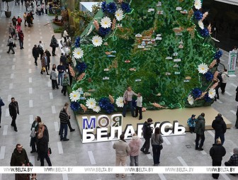 Познавательно, увлекательно, красиво. На выставке 'Моя Беларусь' в праздничные выходные ажиотаж