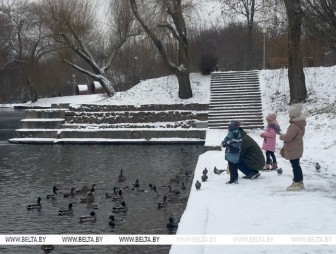 Морозы, снег и гололедица. Синоптики рассказали о погоде в Беларуси в большие выходные