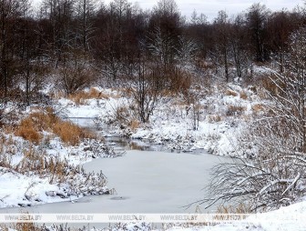 Правительство утвердило госпрограмму 'Экология' на 2026-2030 годы