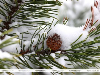Слабая метель и до -6°С прогнозируют в Беларуси 3 января