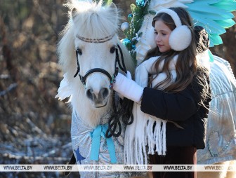 Своенравные и игривые или серьезные и вдумчивые? Узнали самые необычные факты о главном символе года