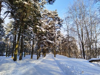 Как реагируют на приход зимы