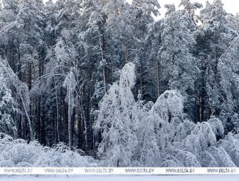 Ночью до -25..-30°С. Оранжевый уровень опасности объявлен в Беларуси 15 января