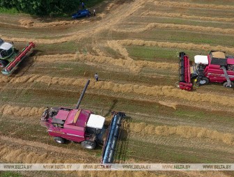 Порядок в райагросервисе
