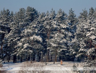 Почему в Беларусь пришли морозы и какую погоду ждать дальше, рассказал климатолог