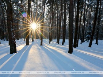 До -25°С: чего ждать белорусам от погоды 20 января
